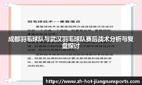 成都羽毛球队与武汉羽毛球队赛后战术分析与复盘探讨